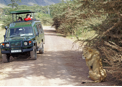 Africa Safari Jeep Tour