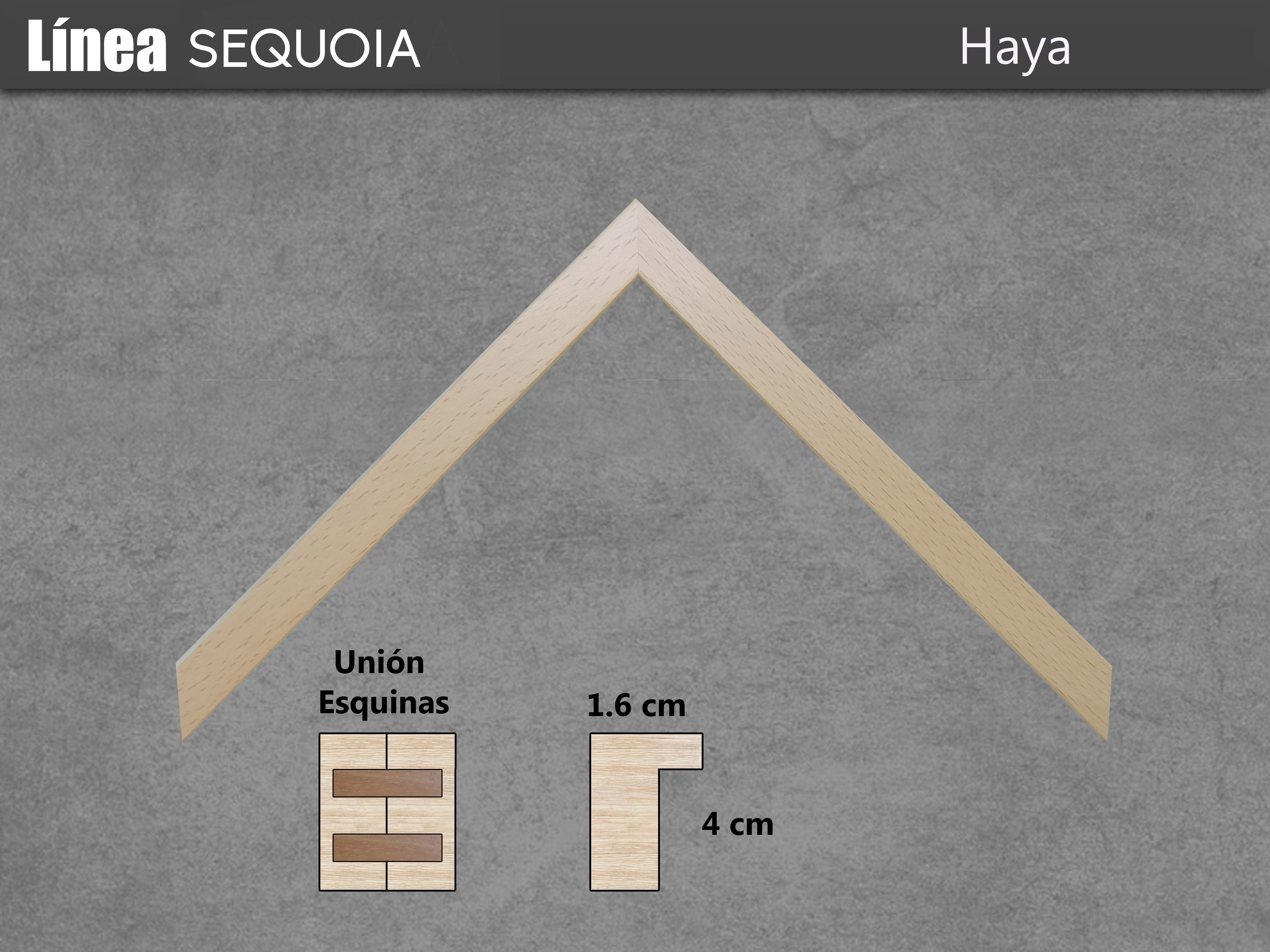https://0201.nccdn.net/4_2/000/000/038/2d3/Alta-Haya-4896x3672.jpg
