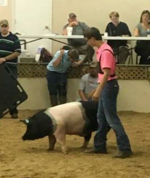 Andrew Thompson
Champion Carcass Hog
2016 Henry County Fair
