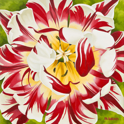"Red-Striped Tulip" 20 x 20