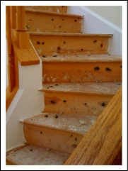 Before hardwood installation