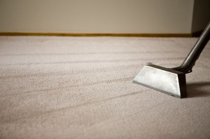 When You Need Reliable Carpet Cleaning Experts Look No Further Than The Clean Force Company Llc In Greenville Sc