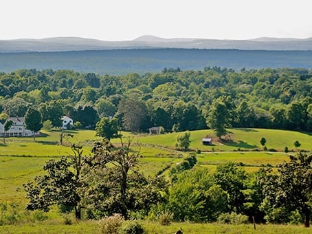 Green Field View