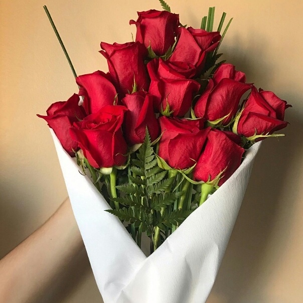 https://0201.nccdn.net/4_2/000/000/038/2d3/IMG-20190430-WA0092.jpg