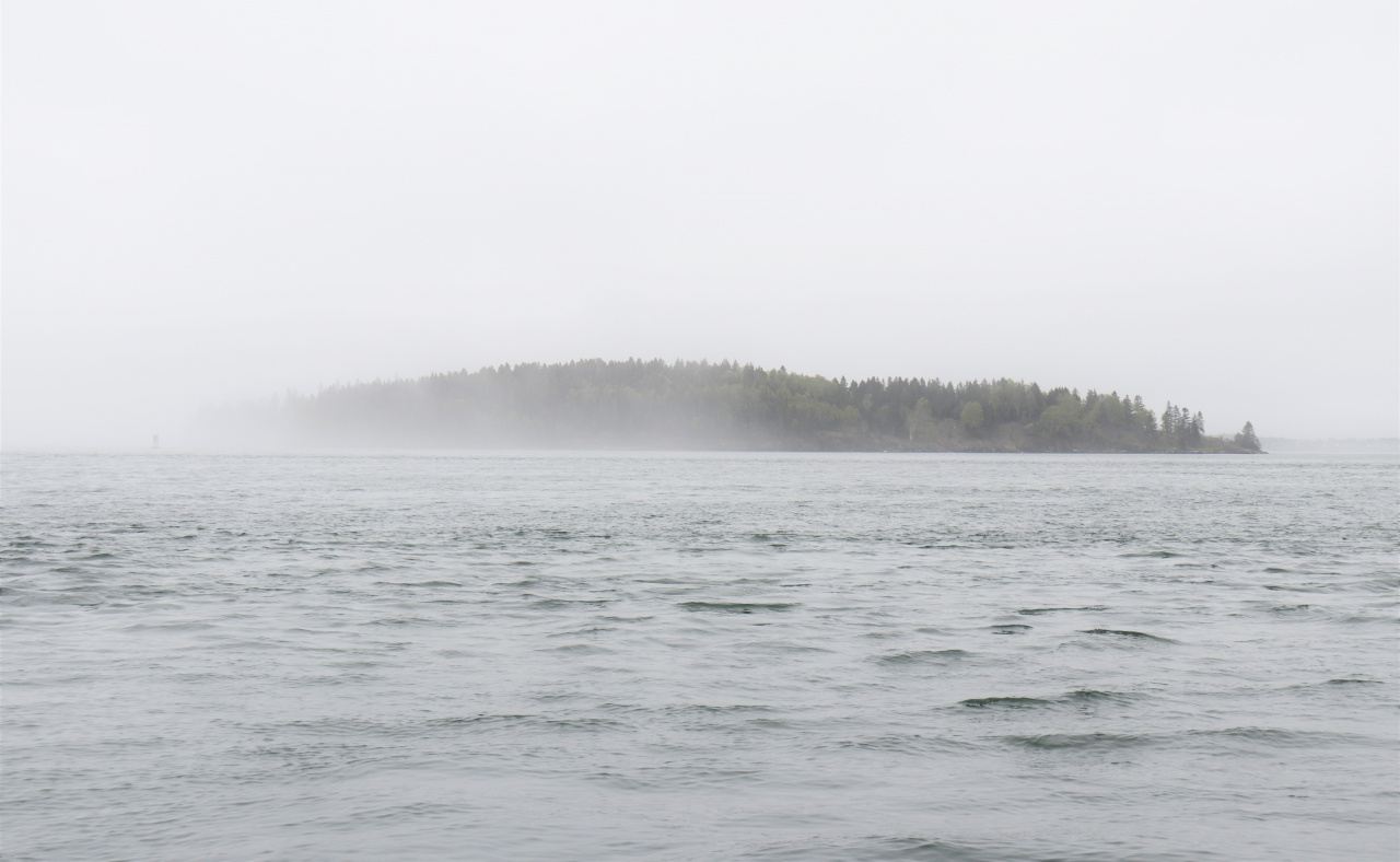 Maine island in the fog