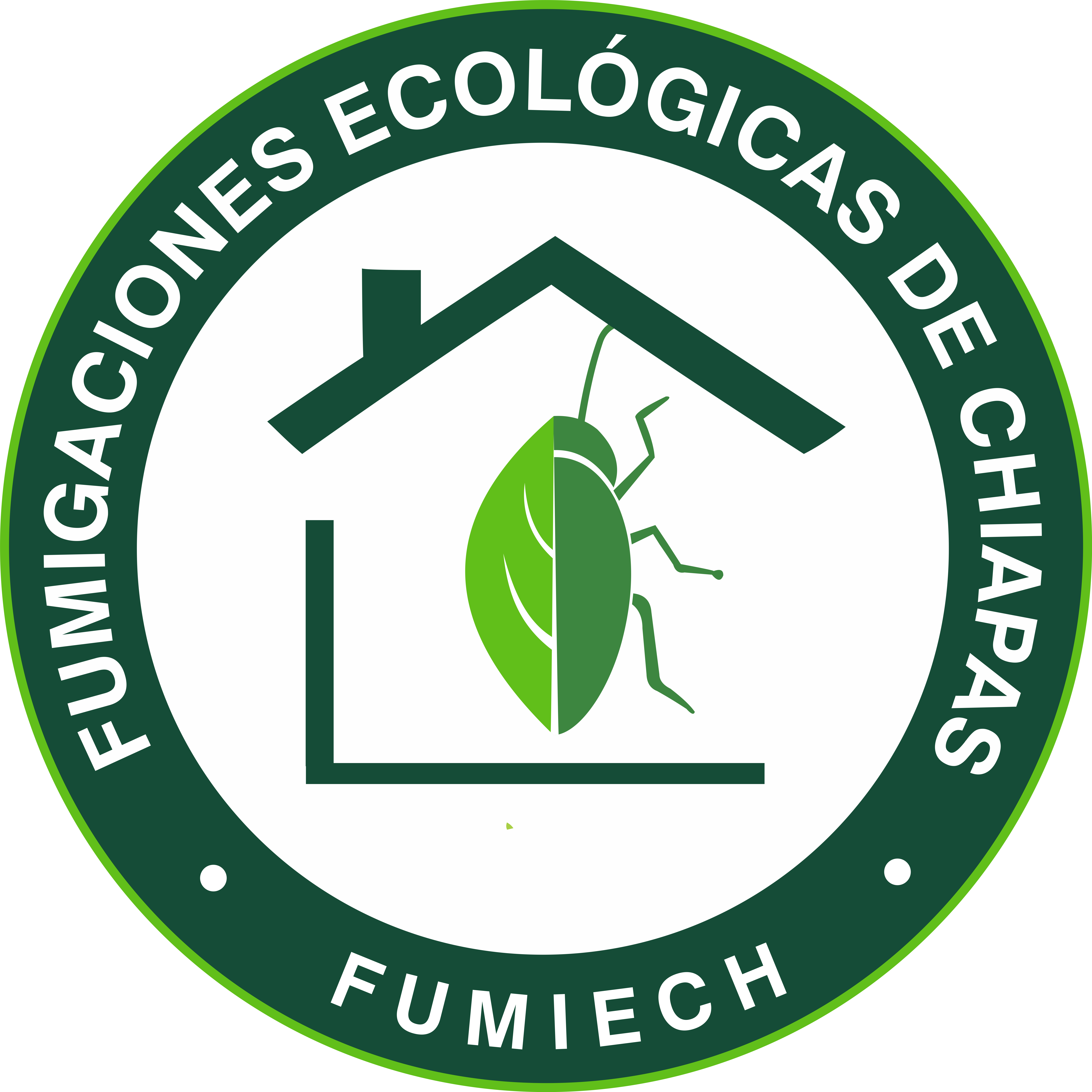 FUMIGACIONES ECOLÓGICAS DE CHIAPAS