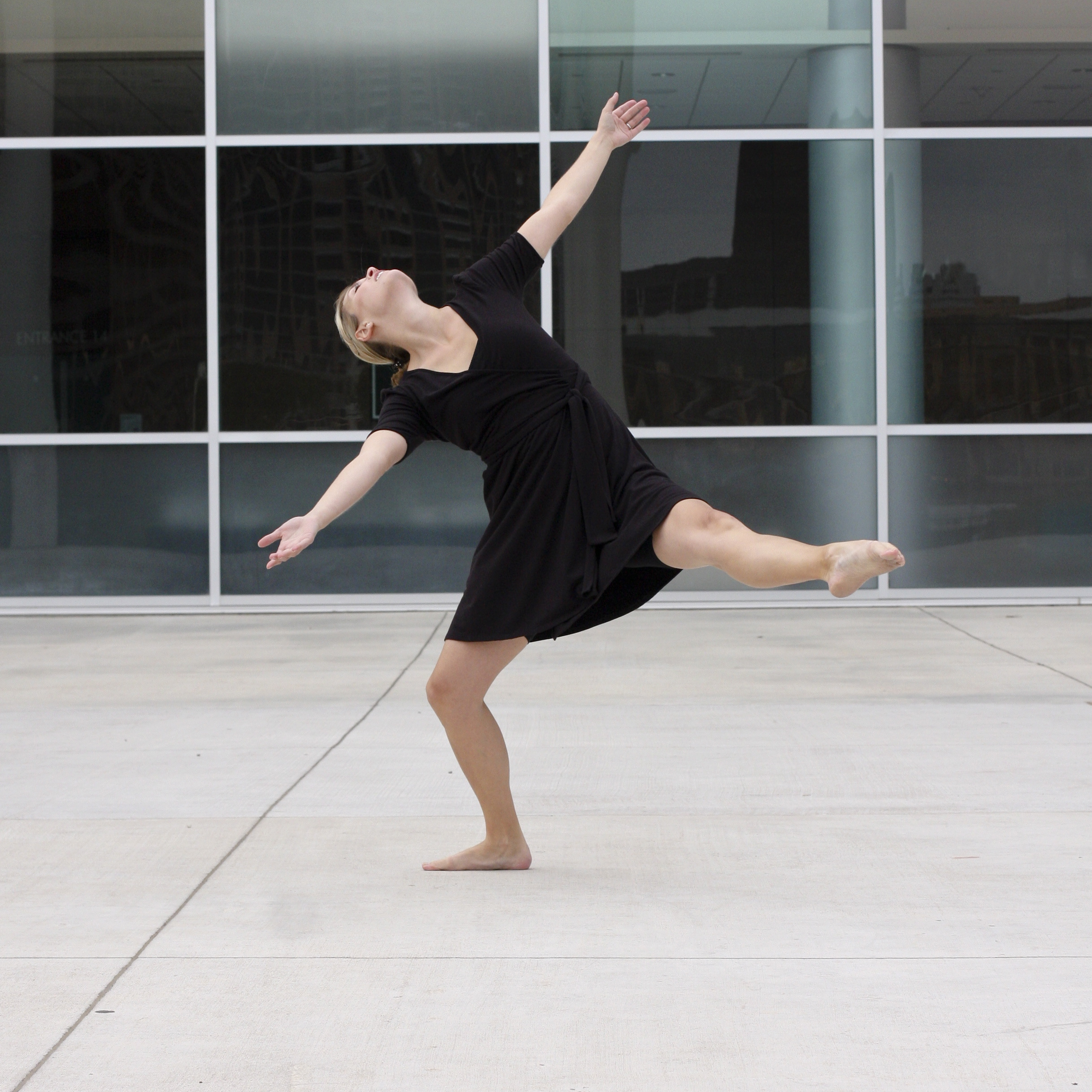Long Center 2009