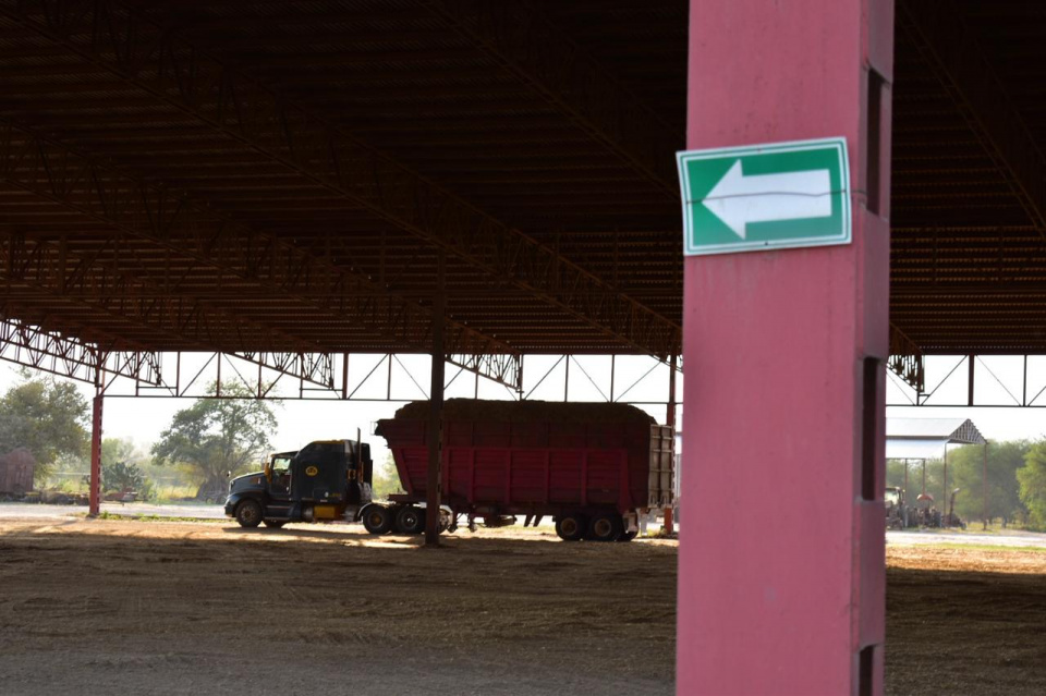 Dish on a white plate Dish on a white plate
