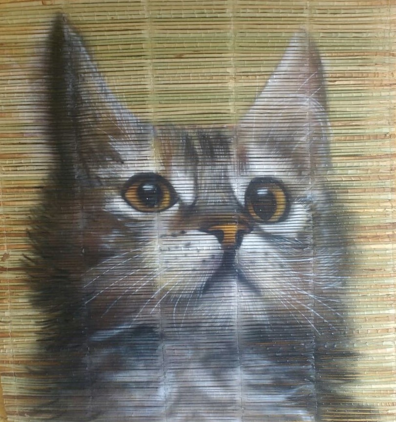 https://0201.nccdn.net/4_2/000/000/038/2d3/Persiana-de-vara--Gato-811x864.jpg