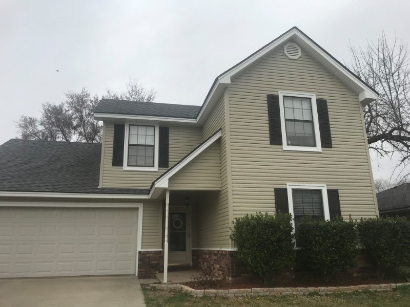 T-Rex Siding, Windows, and More