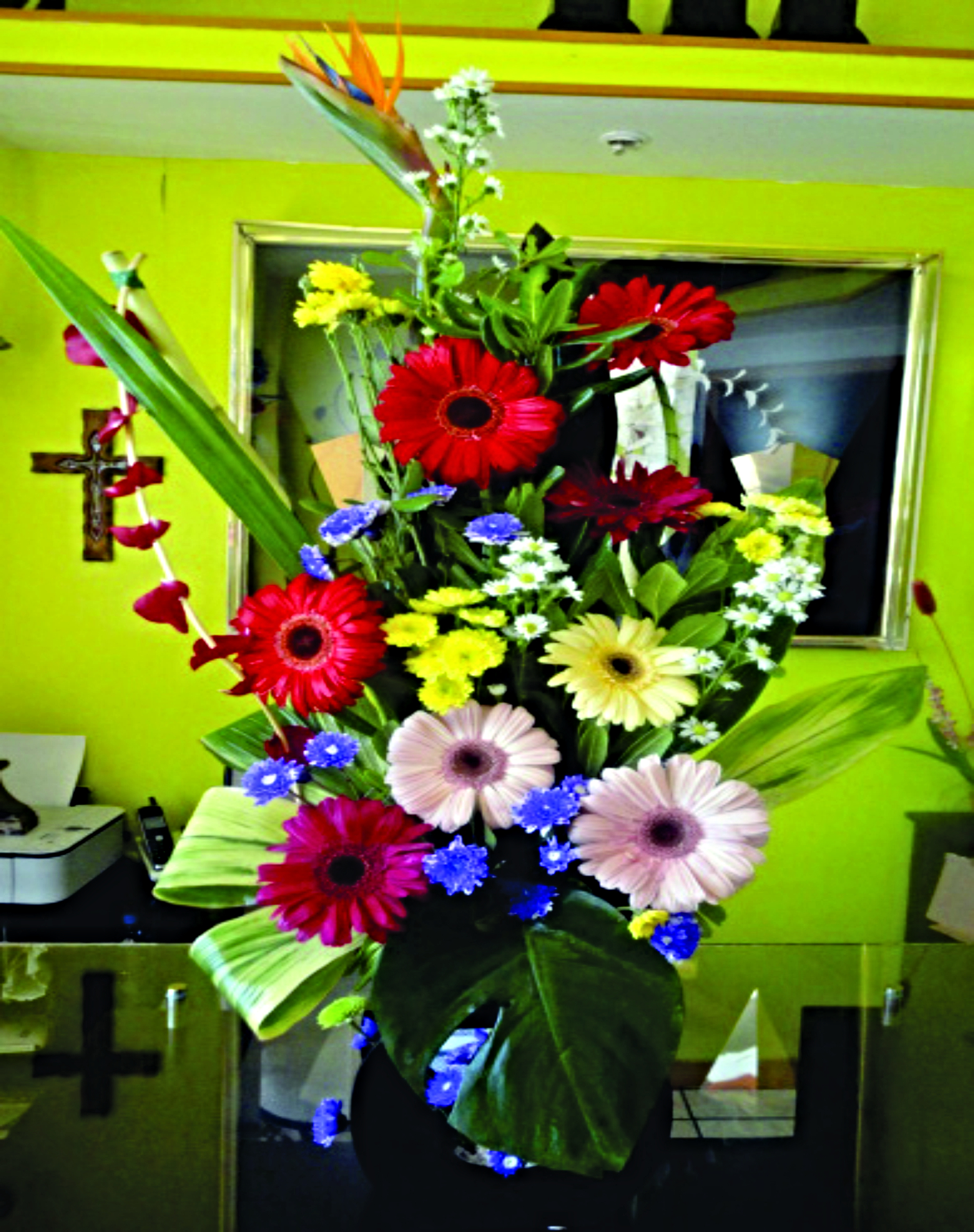 Arreglo A28 de 8 gerberas difrentes colores con una ave de paraiso.
$ 650.