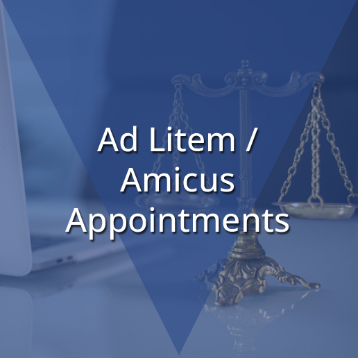 https://0201.nccdn.net/4_2/000/000/038/2d3/ad-litem_amicus-appointments_h.jpg