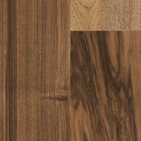AUSTRALIAN WALNUT 
TS4PS7-7503