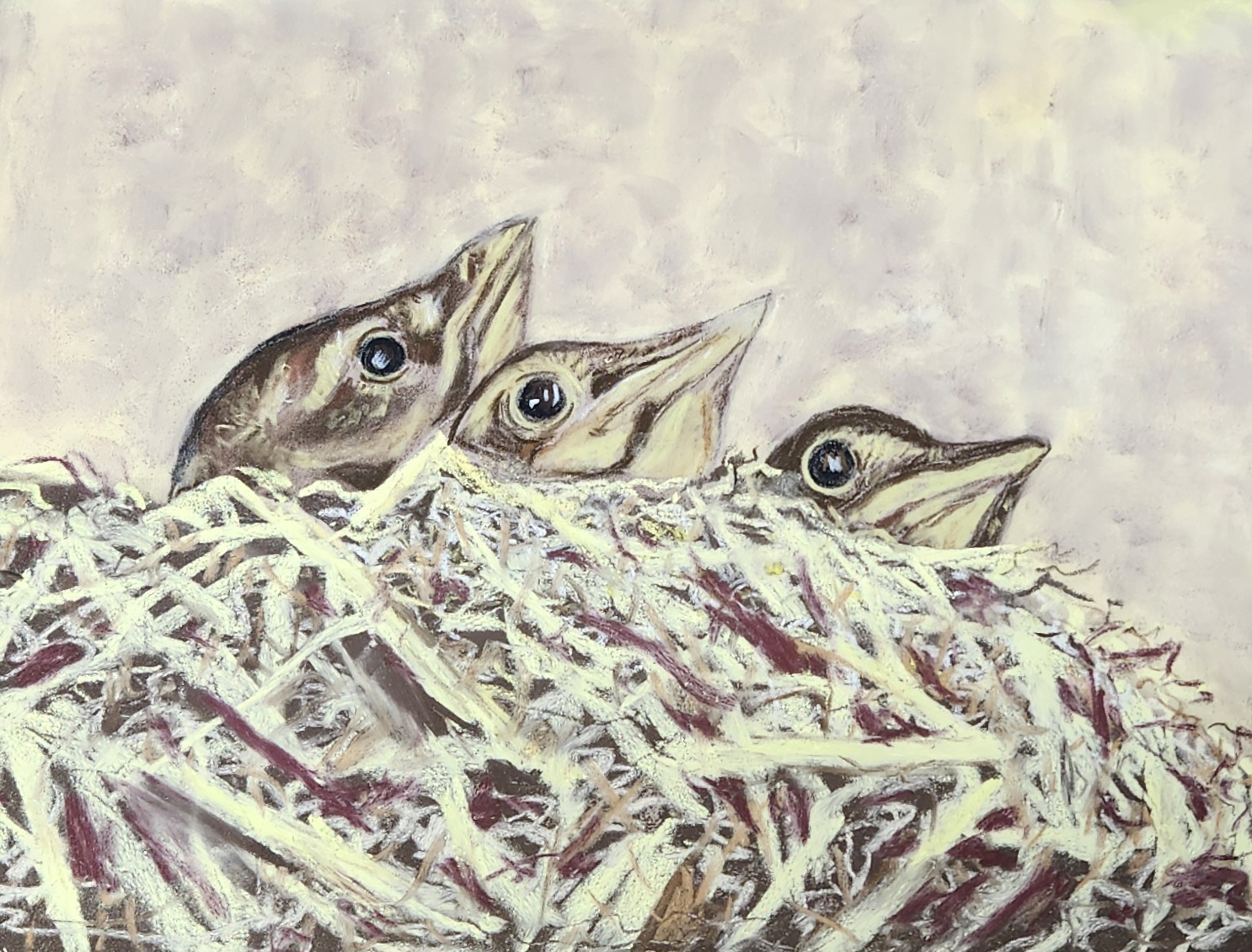 https://0201.nccdn.net/4_2/000/000/038/2d3/birds-nest-newbies.jpg