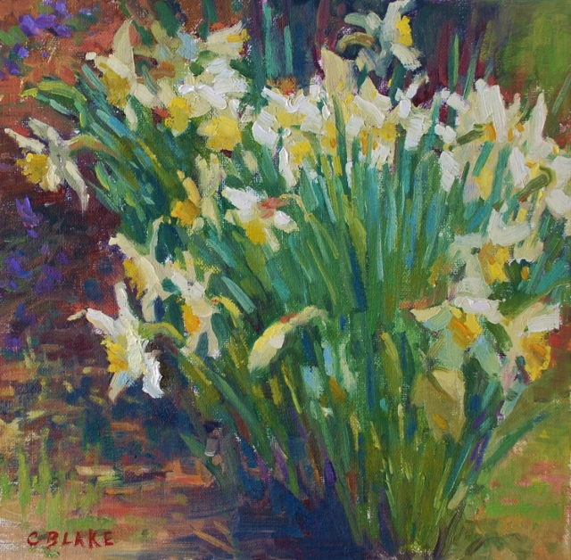 Blake, Sunlit Daffodils, 8" x 8" Oil