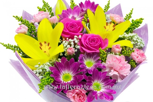 Mom-125
Precio $ 590