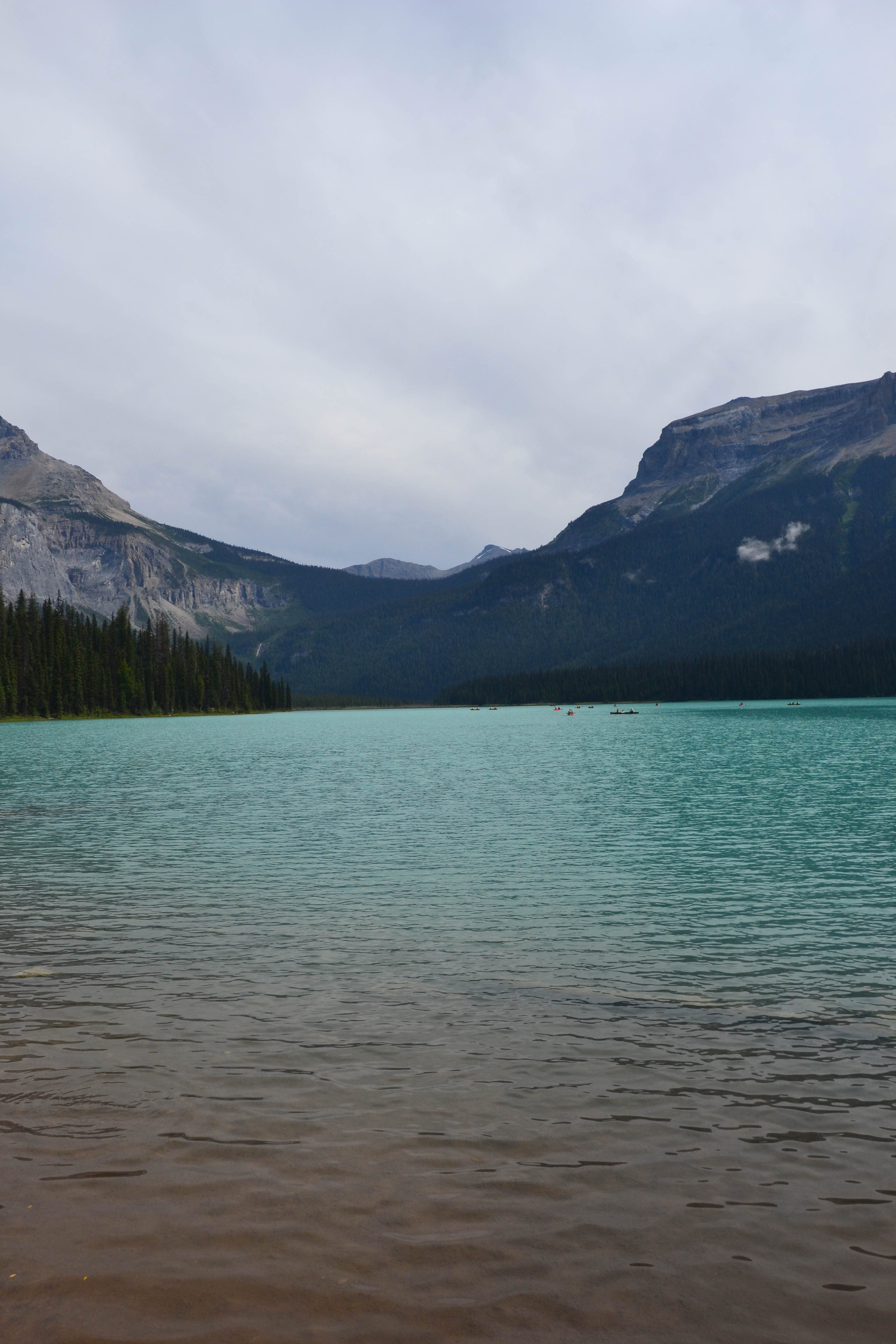 https://0201.nccdn.net/4_2/000/000/038/2d3/calgary-order-128.jpg
