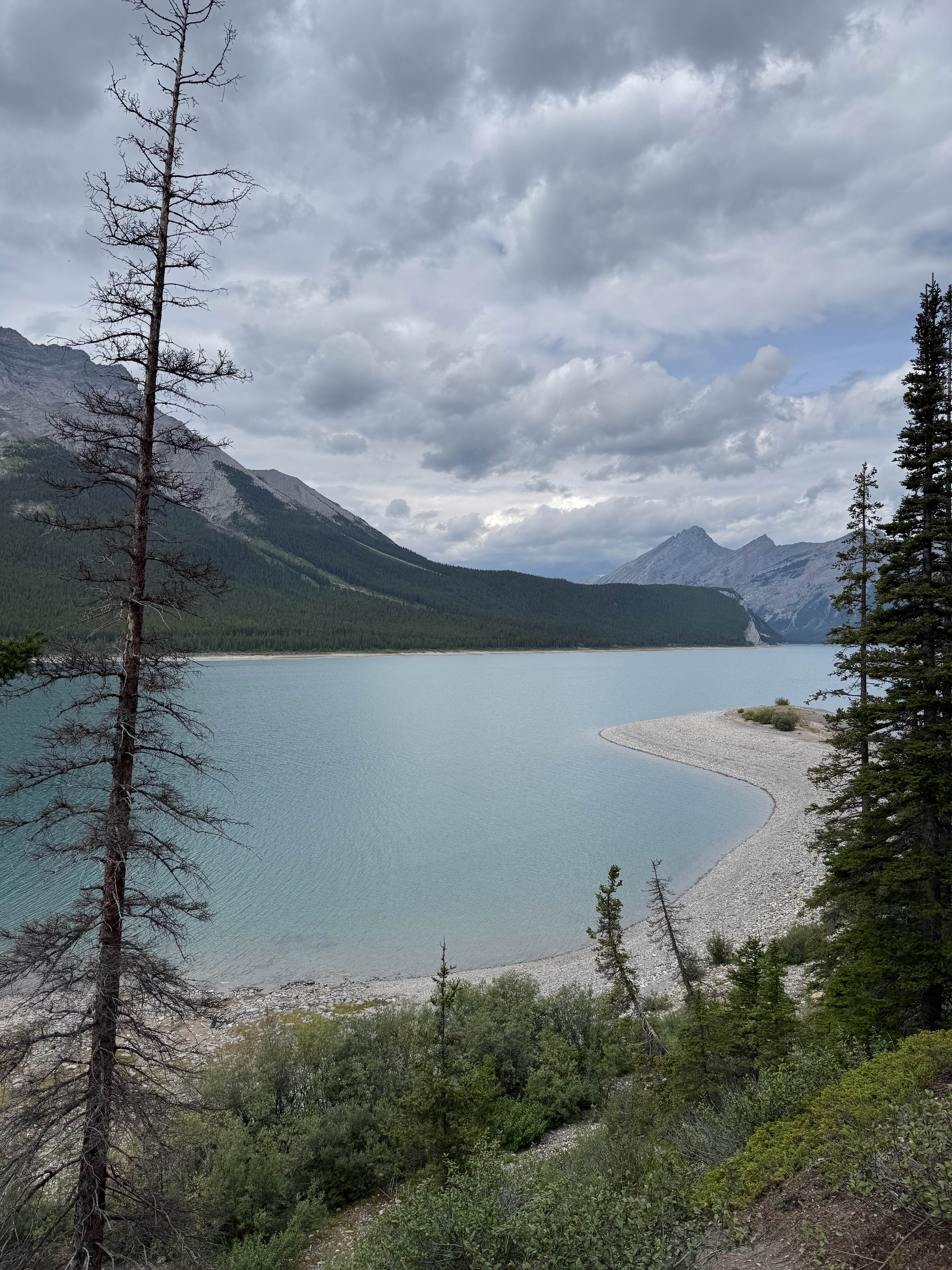 https://0201.nccdn.net/4_2/000/000/038/2d3/calgary-order-158.jpg