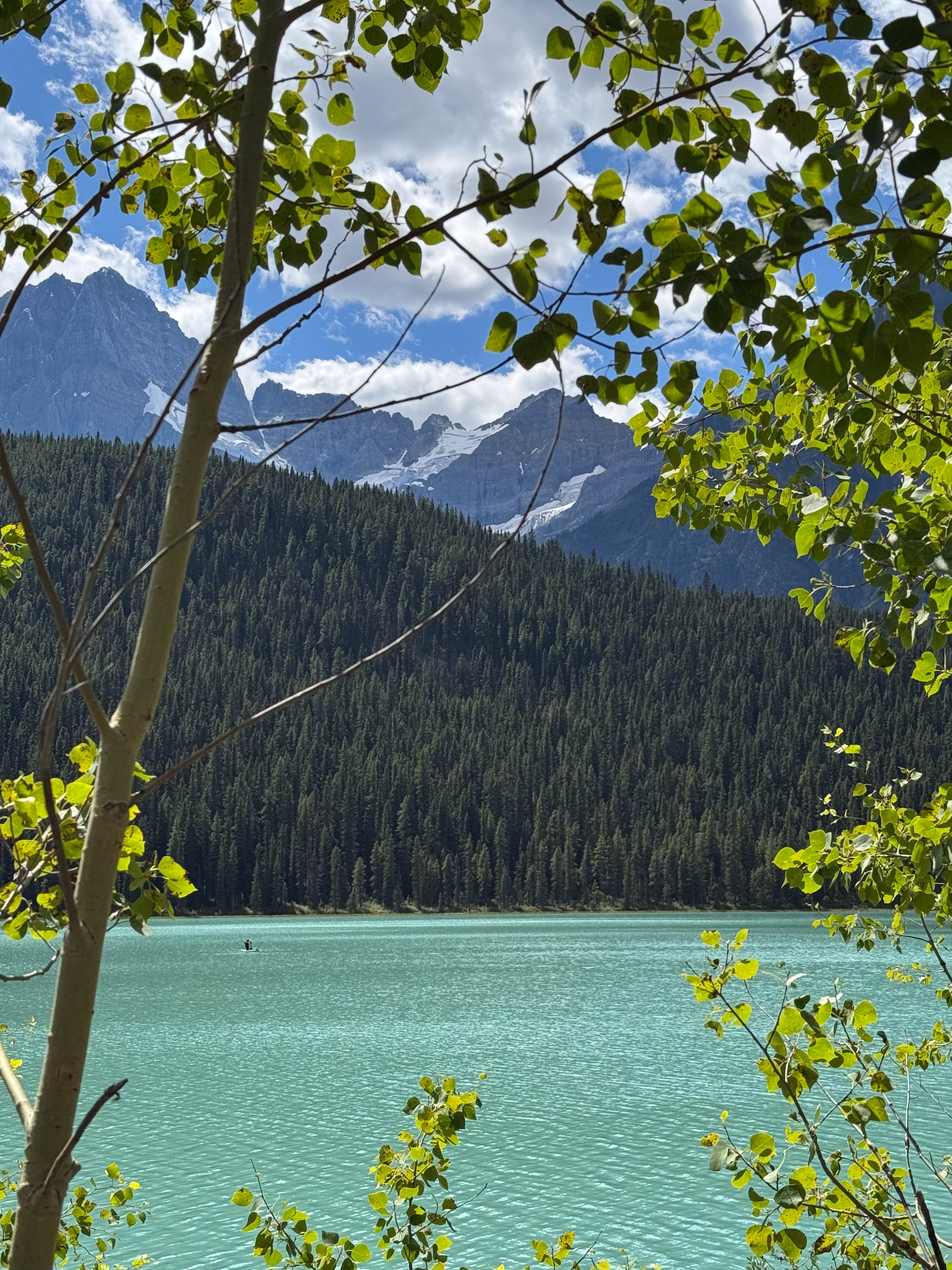 https://0201.nccdn.net/4_2/000/000/038/2d3/calgary-order-207.jpg
