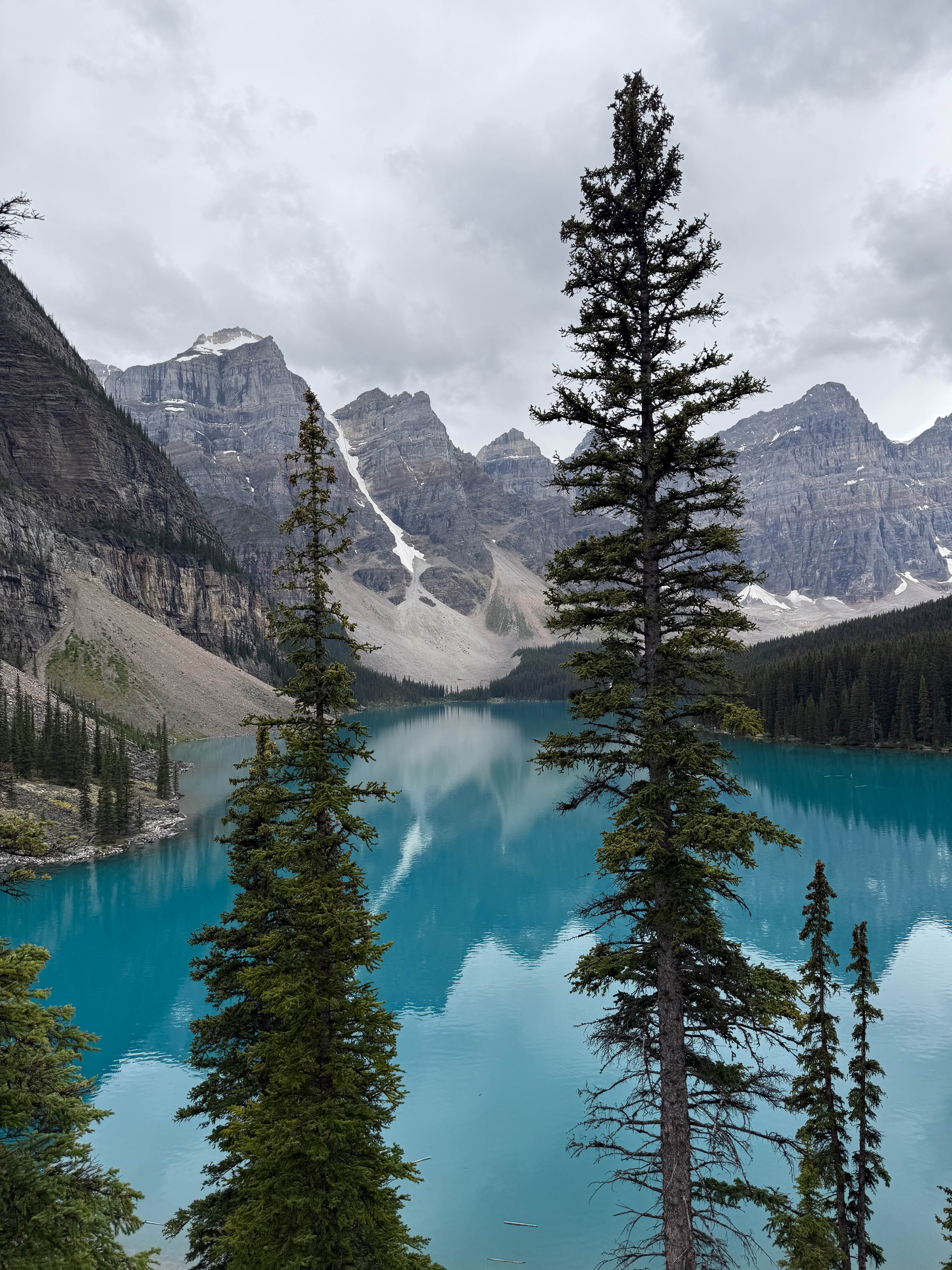 https://0201.nccdn.net/4_2/000/000/038/2d3/calgary-order-93.jpg