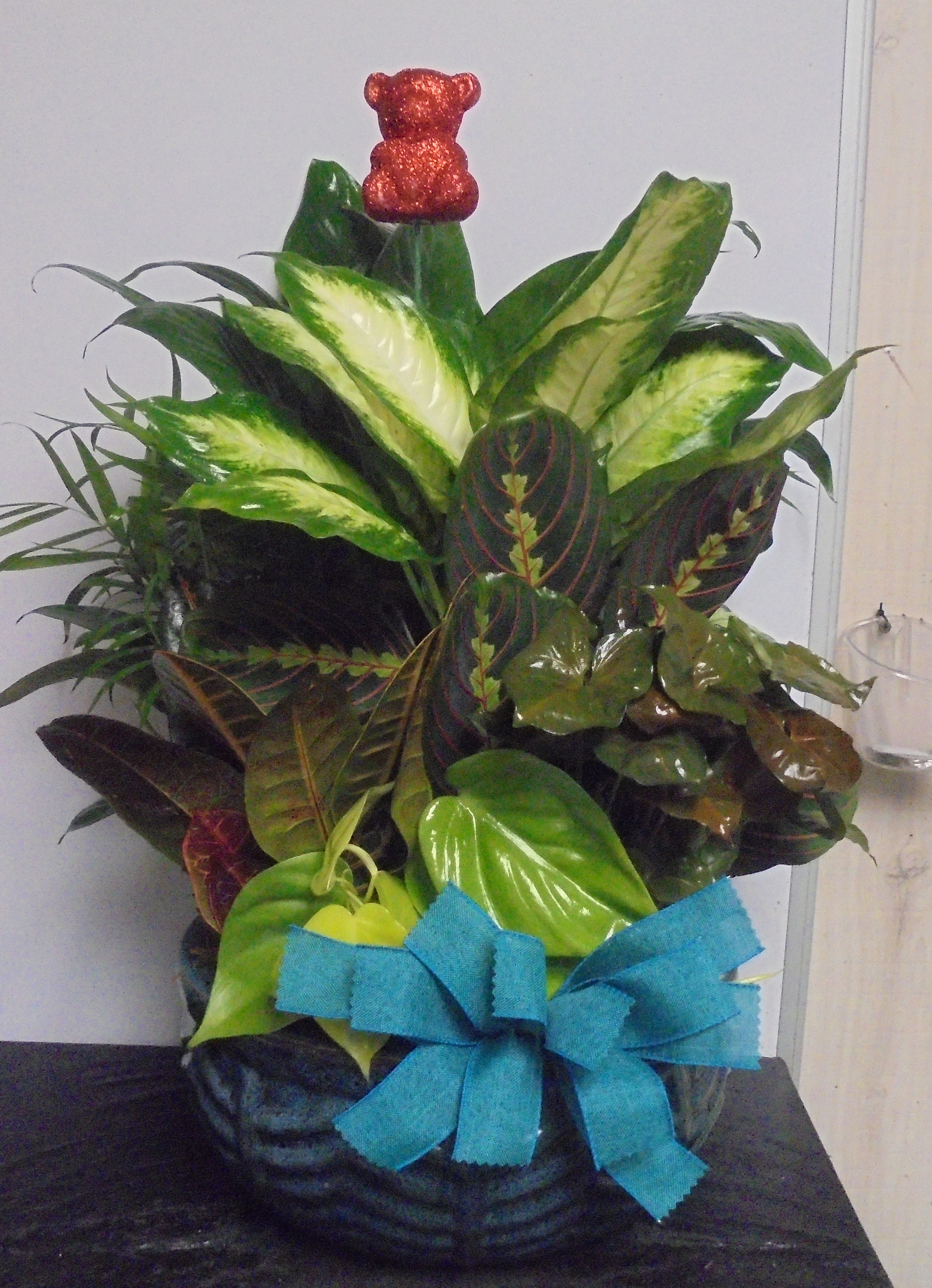 (14)  "Dish-Garden" Plant
(Ceramic)
$100.00