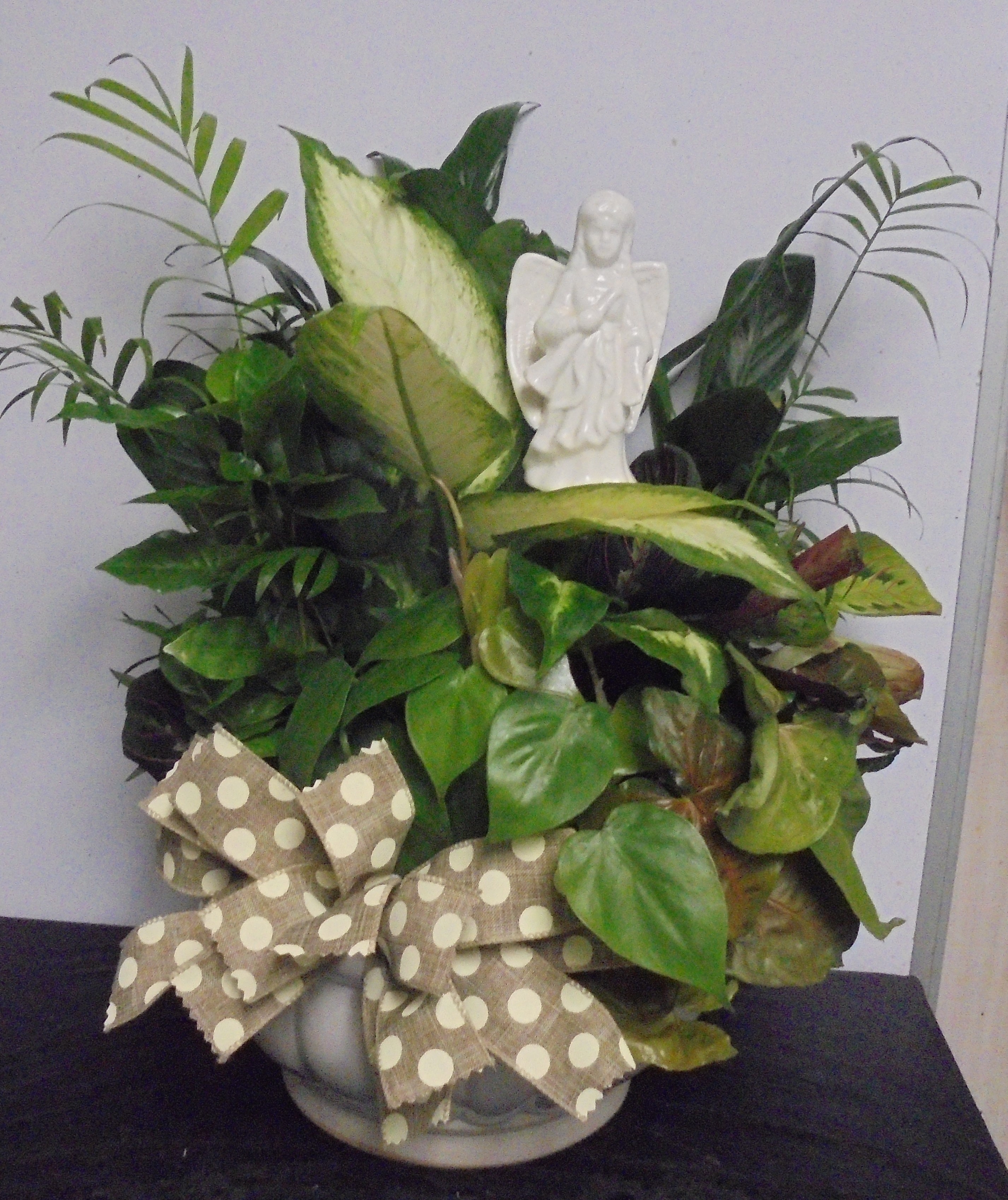 (8A) Dish-Garden (Ceramic)
W/ Angel
$65.00