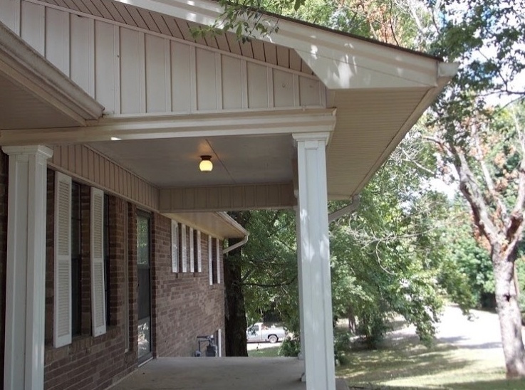 T-Rex Siding, Windows, and More