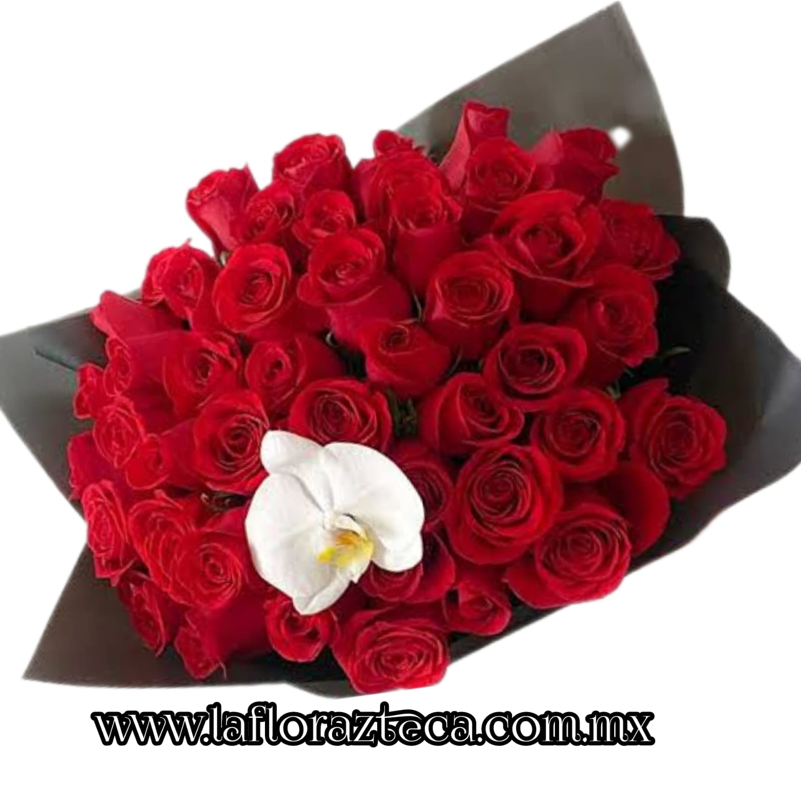 TOP - 9  RAMO BUCHON  PHANELOPSIS
24 Rosas    $1,400
50 Rosas     $1,990
100 Rosas   $3,550