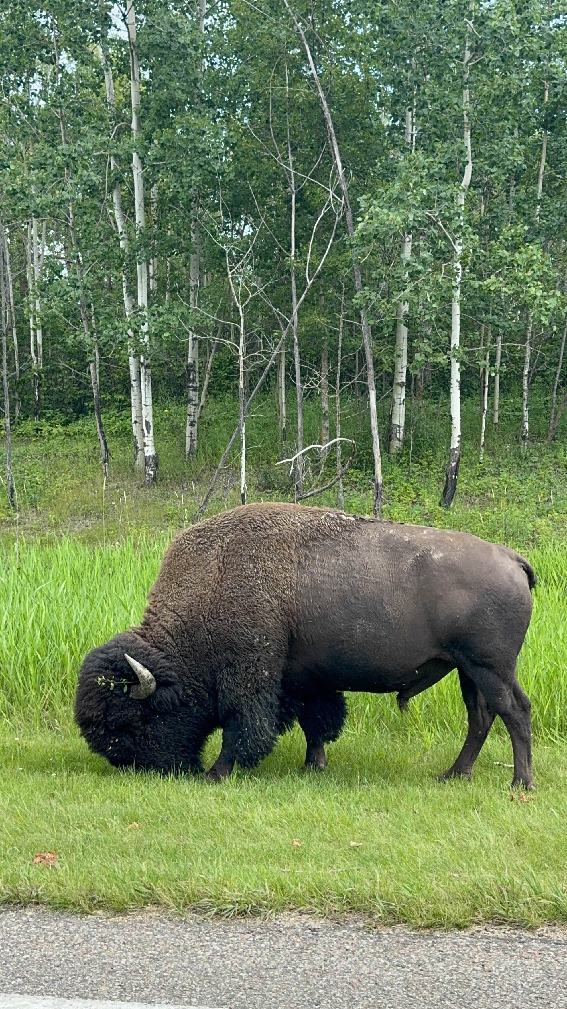 https://0201.nccdn.net/4_2/000/000/038/2d3/edmonton-order-50.jpg