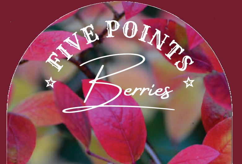 fivepointsberries.com