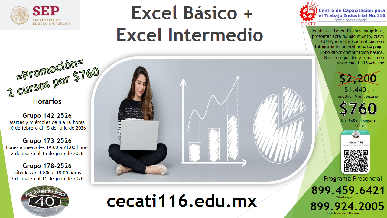 https://0201.nccdn.net/4_2/000/000/038/2d3/folleto-inform%C3%A1tica-nivel-4-excel-b%C3%A1sico-intermedio.png
