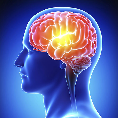 Rayos X Garatec -Cefalometrías