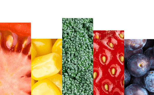 Casa Rentería - Fruta