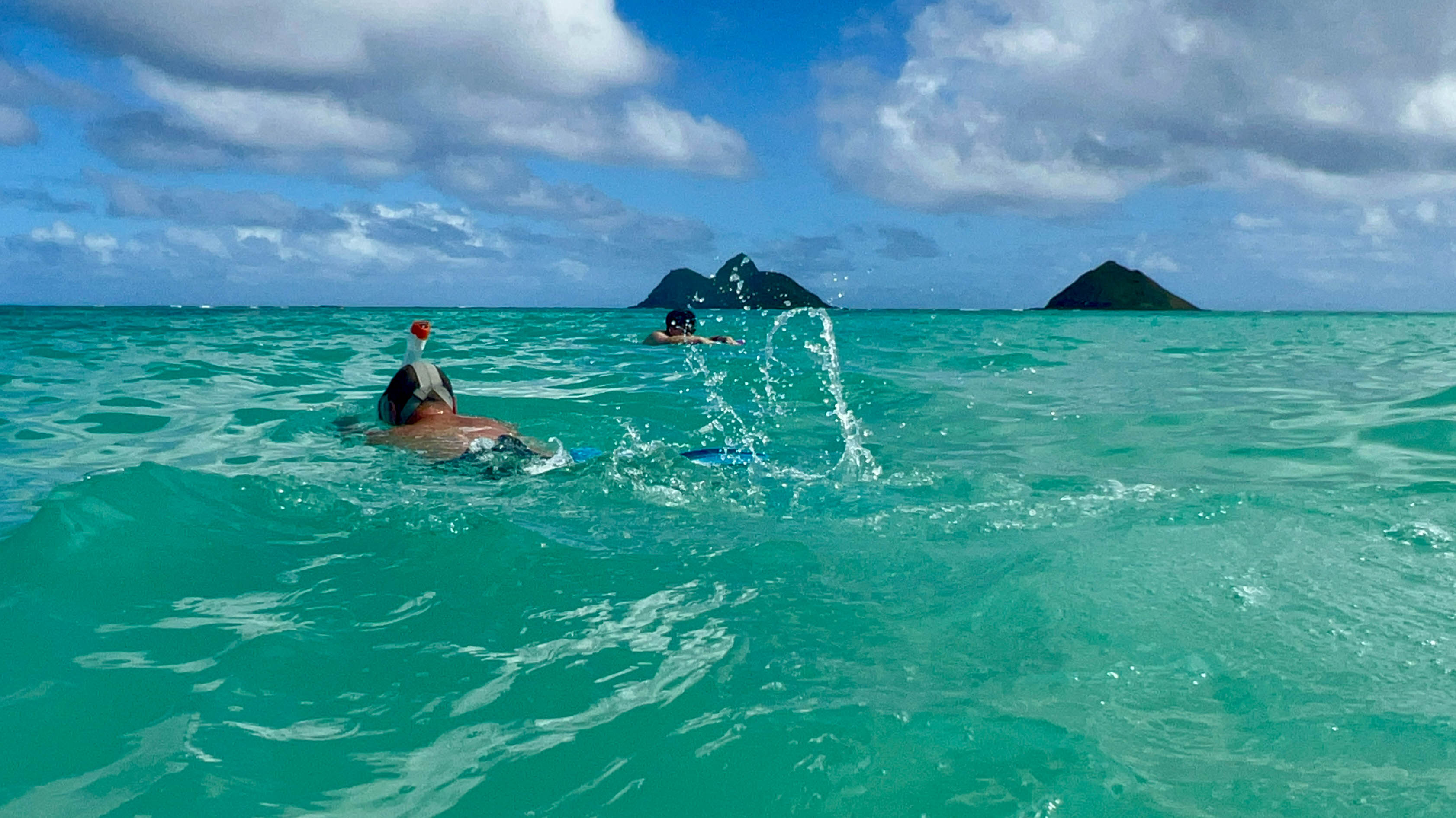 https://0201.nccdn.net/4_2/000/000/038/2d3/hawaii-order-108.jpg