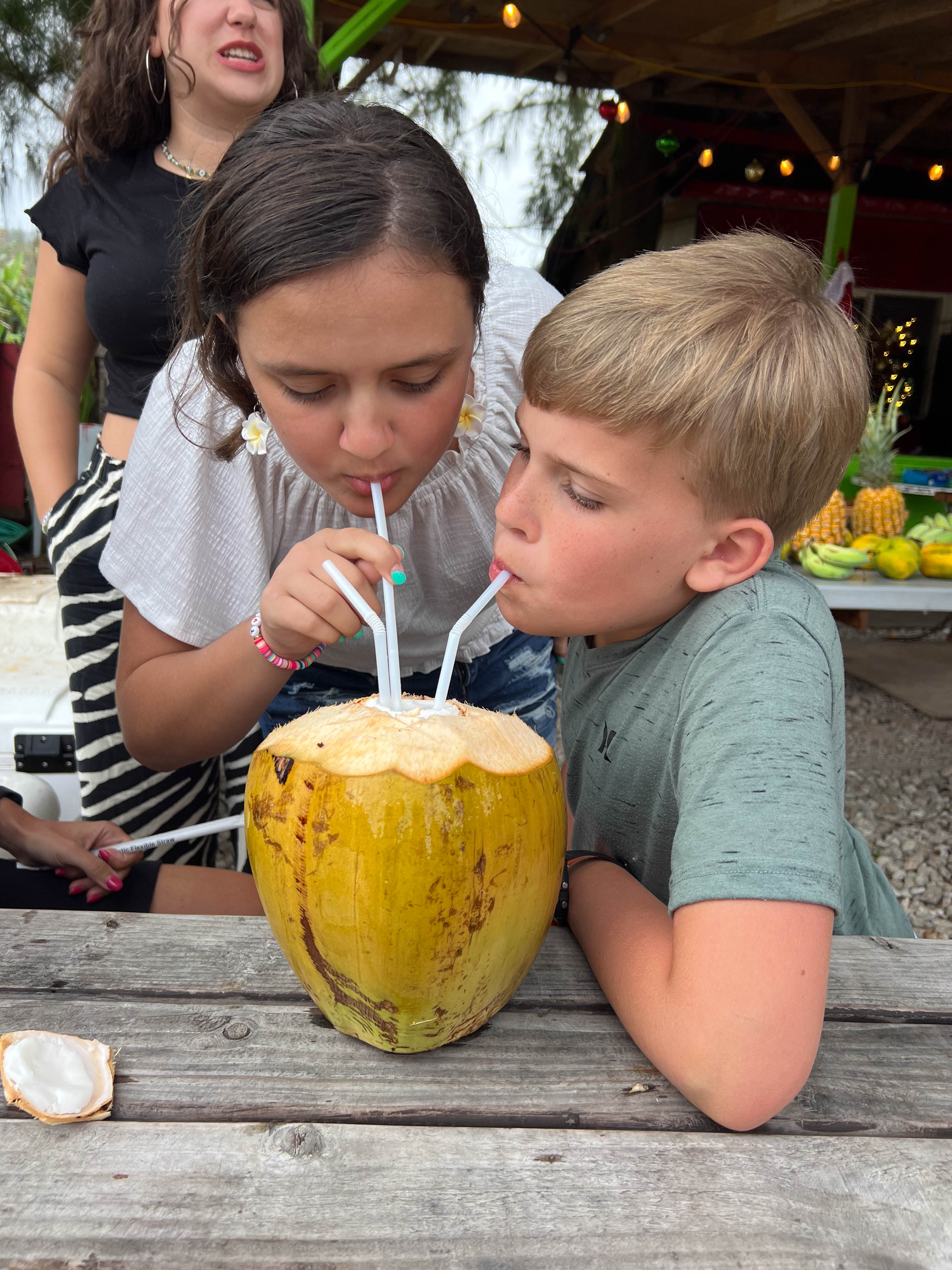 https://0201.nccdn.net/4_2/000/000/038/2d3/hawaii-order-143.jpg