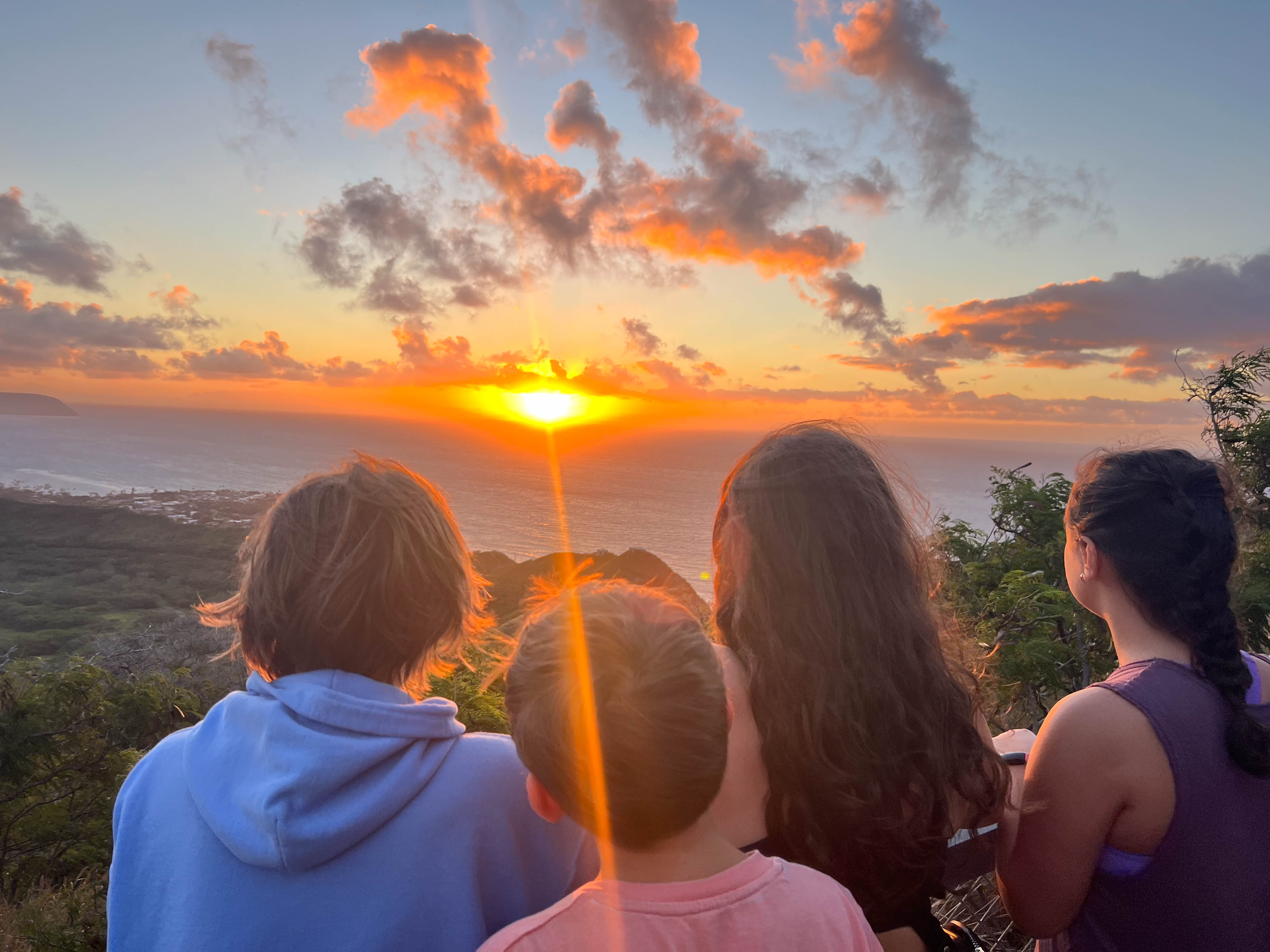 https://0201.nccdn.net/4_2/000/000/038/2d3/hawaii-order-88.jpg