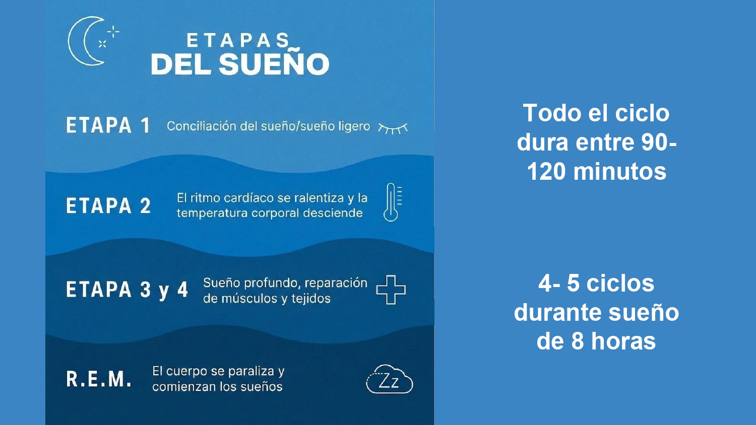 https://0201.nccdn.net/4_2/000/000/038/2d3/higiene-de-sue%C3%B1o-_page-0006.jpg