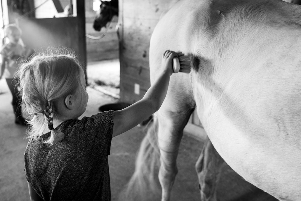 Little Girl Touching Big Horse In Nature