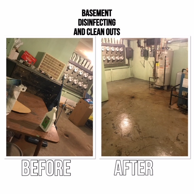 Basement Disinfecting