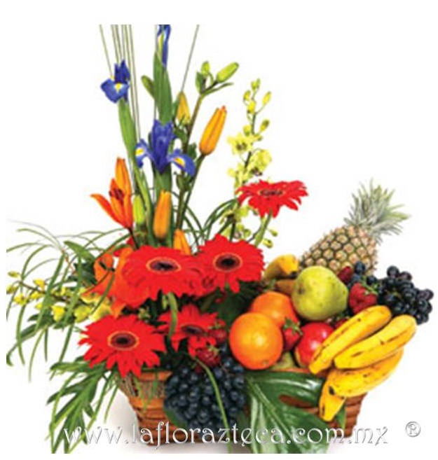 LFA-505
Precio $1,380