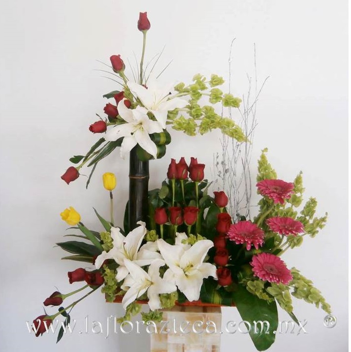 LFA-808
Precio $1,650