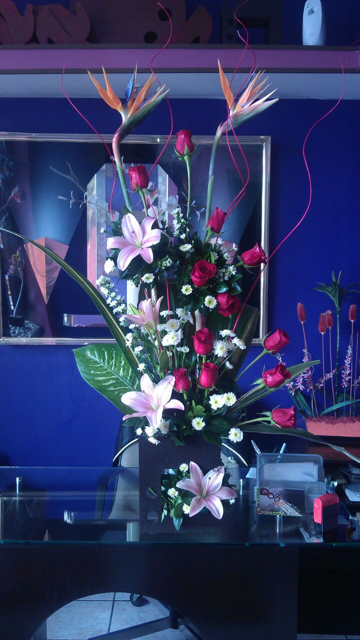 Arreglo S19 12 rosas rojas $1200