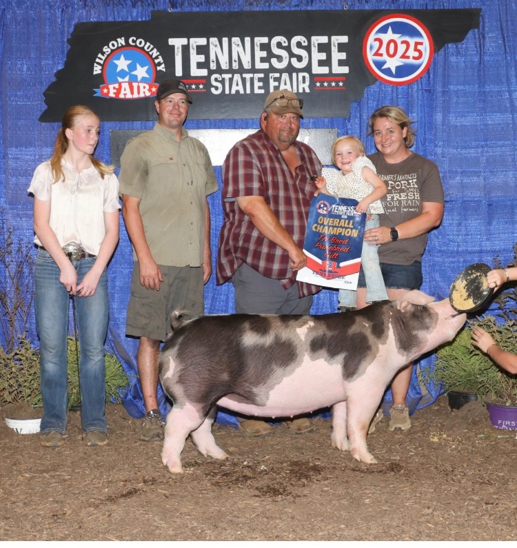 Andie Kate Bates and Princess Becky 
2025 Tennessee State Fair
Champion Tennessee Bred 
Spot Gilt
Overall Champion 
Tennessee Bred Gilt