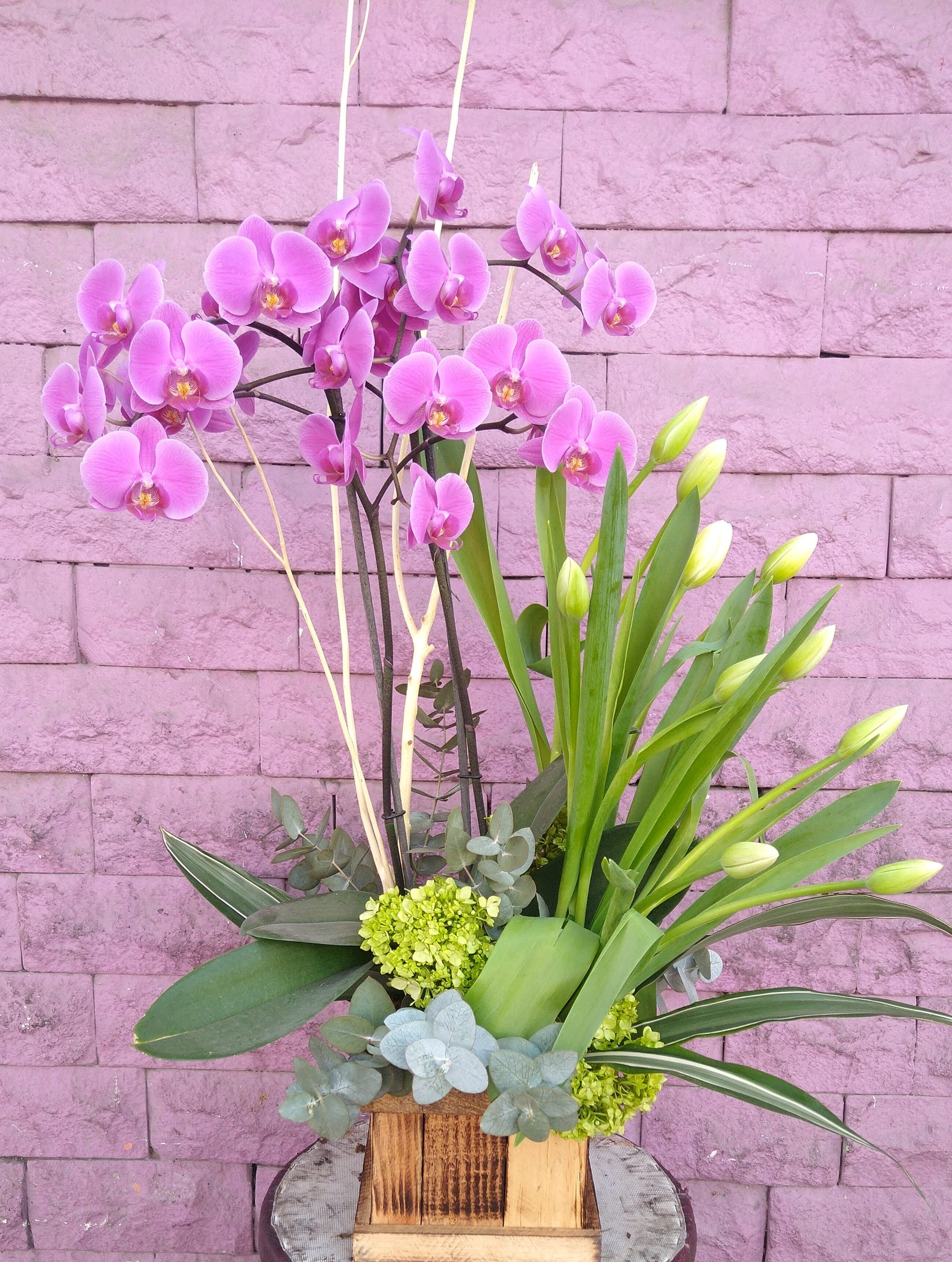 TULIPANES Y ORQUIDEAS