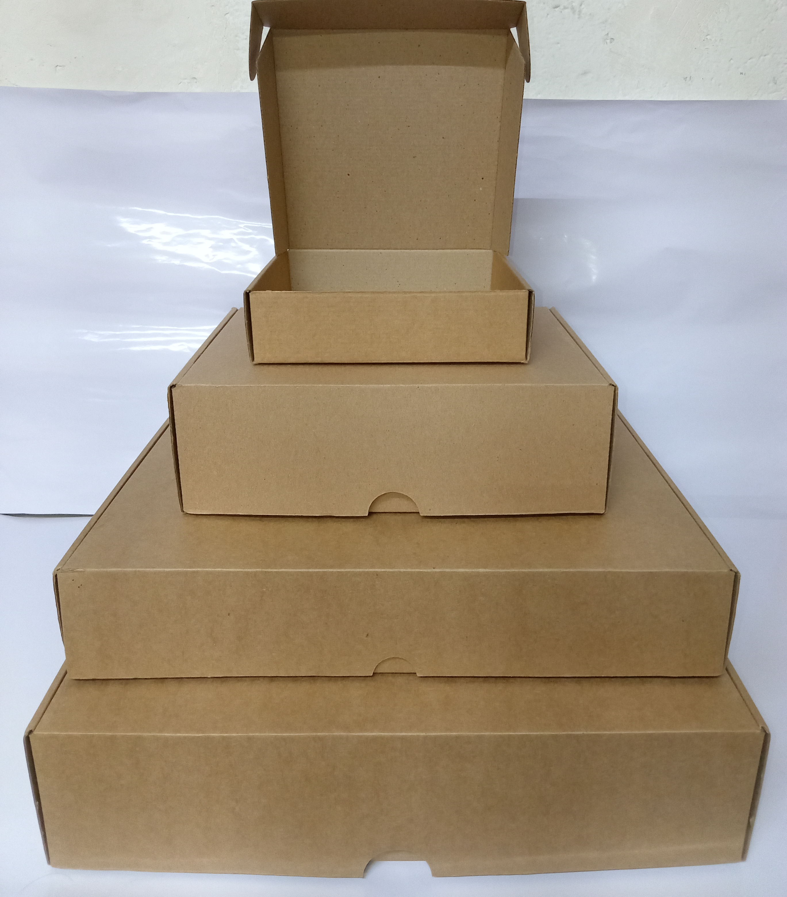 CAJAS PYE VARIEDAD DE TAMAÑOS:
PYE-1: 20cmX20cmX5cm
PYE-2: 32cmX15cmX10cm
PYE-3: 44cmX37cmX8cm
PYE-4: 46cmX26cmX11cm
PYE NAVIDEÑO:  32cmX24cmX10cm