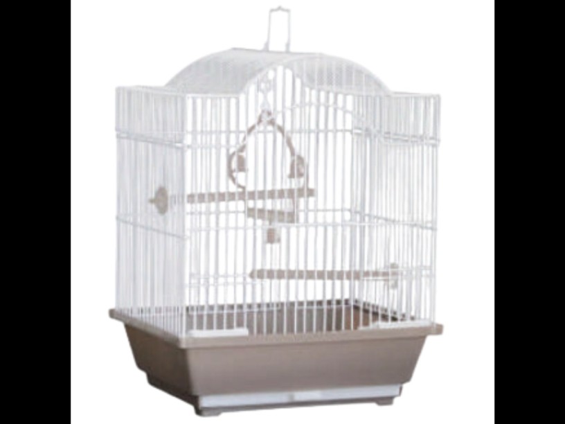 SP-2810 JAULA AVY BOX 
MONTE VERDE by SUNNY 
30X23X49cm