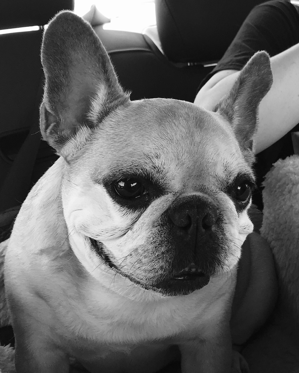 Jazzy Original Photo