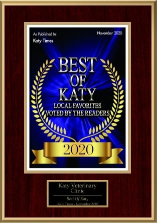 Best of Katy Local Favorites Voted by the Readers 2020