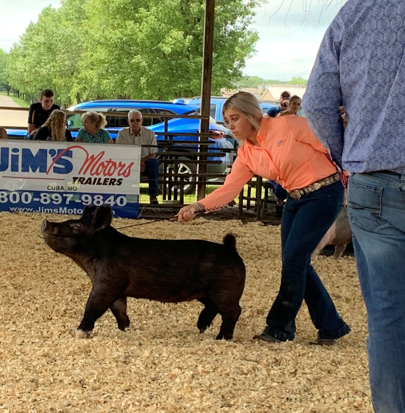 Lena Stricklen
Crawford County Summer Spectacular
Champion Breeding Gilt