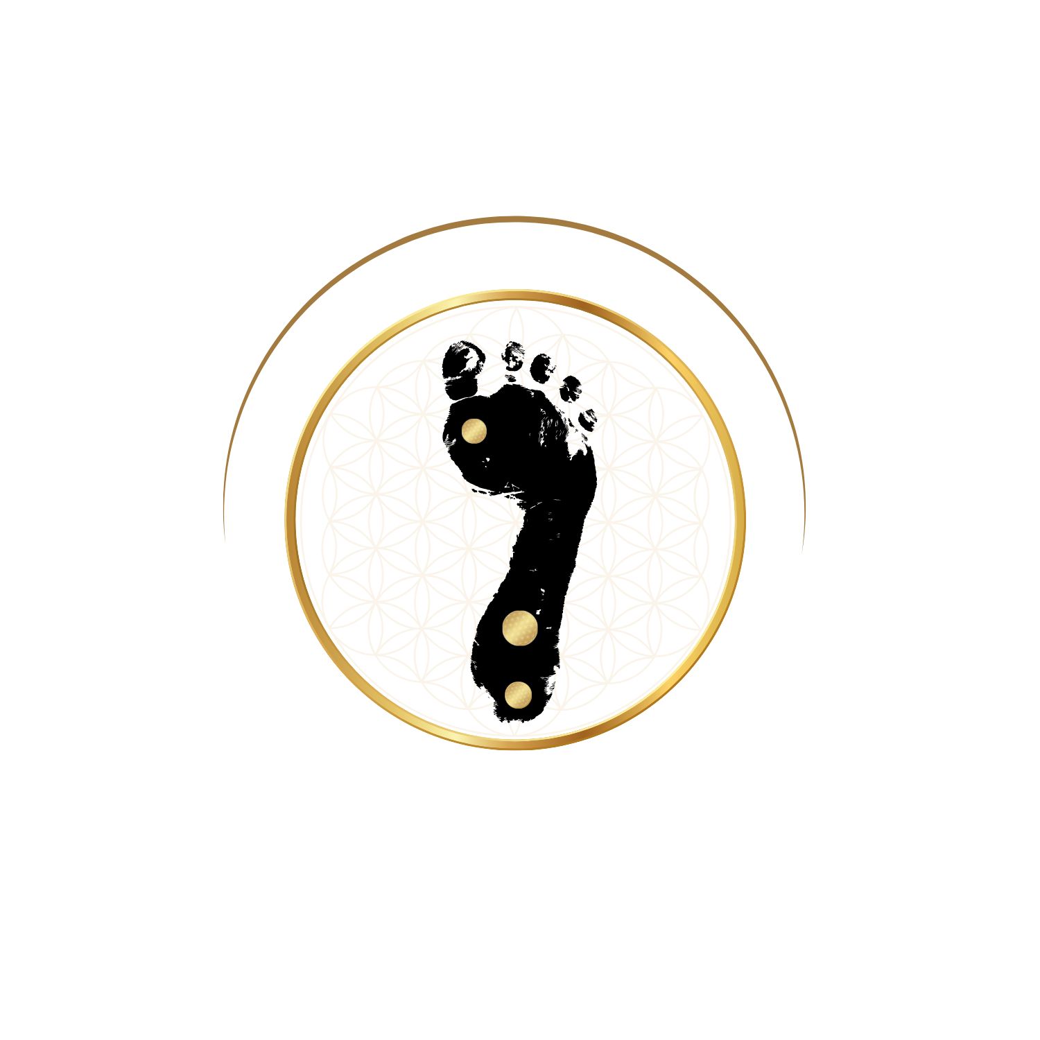 https://0201.nccdn.net/4_2/000/000/038/2d3/logo-shinzu-foot.jpg